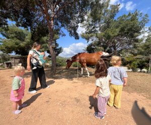 Mamidays Sitges con Caballos